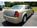 Linen Gold Metallic - 300 Touring Photo No. 5