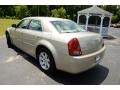 Linen Gold Metallic - 300 Touring Photo No. 8