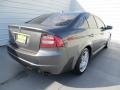 Polished Metal Metallic - TL 3.2 Photo No. 4