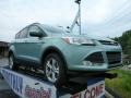 2013 Frosted Glass Metallic Ford Escape SE 1.6L EcoBoost 4WD  photo #1