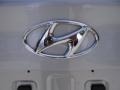 Silver - Elantra Limited Photo No. 12