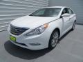 Shimmering White - Sonata SE Photo No. 7