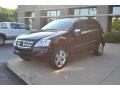 Black - ML 350 4Matic Photo No. 11