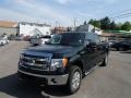 2013 Green Gem Metallic Ford F150 XLT SuperCrew 4x4  photo #1