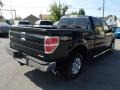 2013 Green Gem Metallic Ford F150 XLT SuperCrew 4x4  photo #5