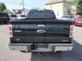 2013 Green Gem Metallic Ford F150 XLT SuperCrew 4x4  photo #6