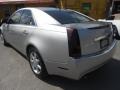 Light Platinum - CTS Sedan Photo No. 4