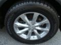 Serengeti Sand Metallic - FX 35 AWD Photo No. 15