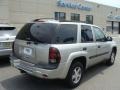 Silverstone Metallic - TrailBlazer LS 4x4 Photo No. 4