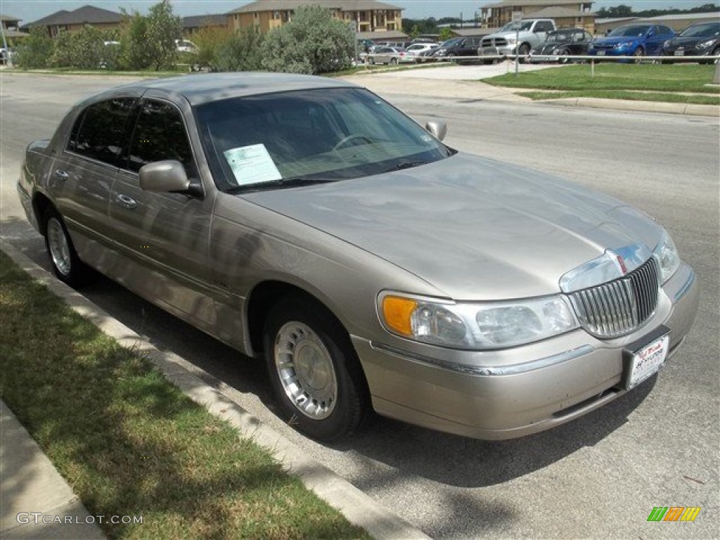 2002 Town Car Executive - Light Parchment Gold / Light Parchment photo #6