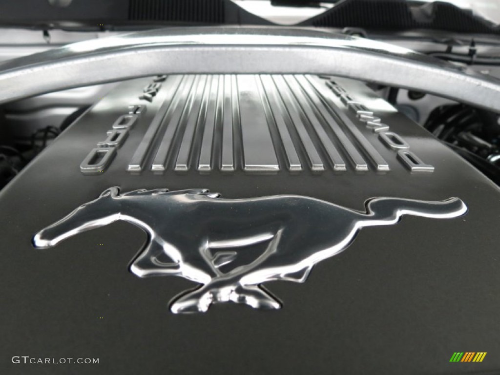 2010 Ford Mustang GT Premium Coupe 4.6 Liter SOHC 24-Valve VVT V8 Engine Photo #81599992