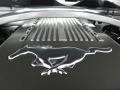 2010 Ford Mustang 4.6 Liter SOHC 24-Valve VVT V8 Engine Photo