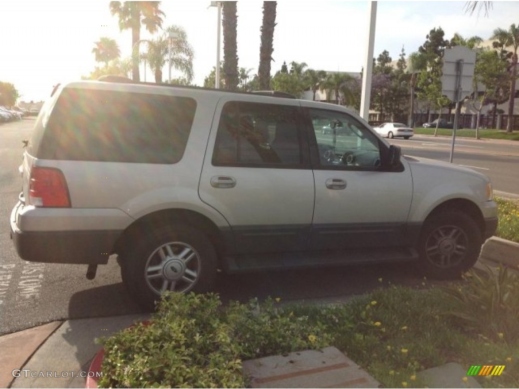 2003 Expedition XLT - Silver Birch Metallic / Flint Grey photo #2