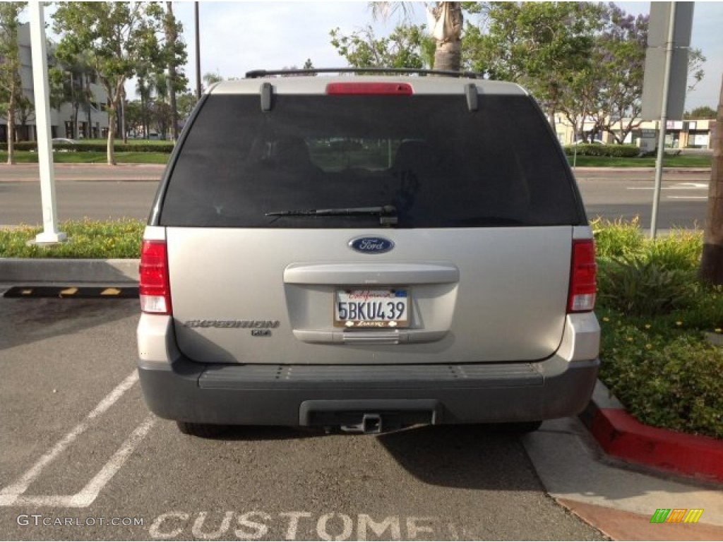 2003 Expedition XLT - Silver Birch Metallic / Flint Grey photo #3