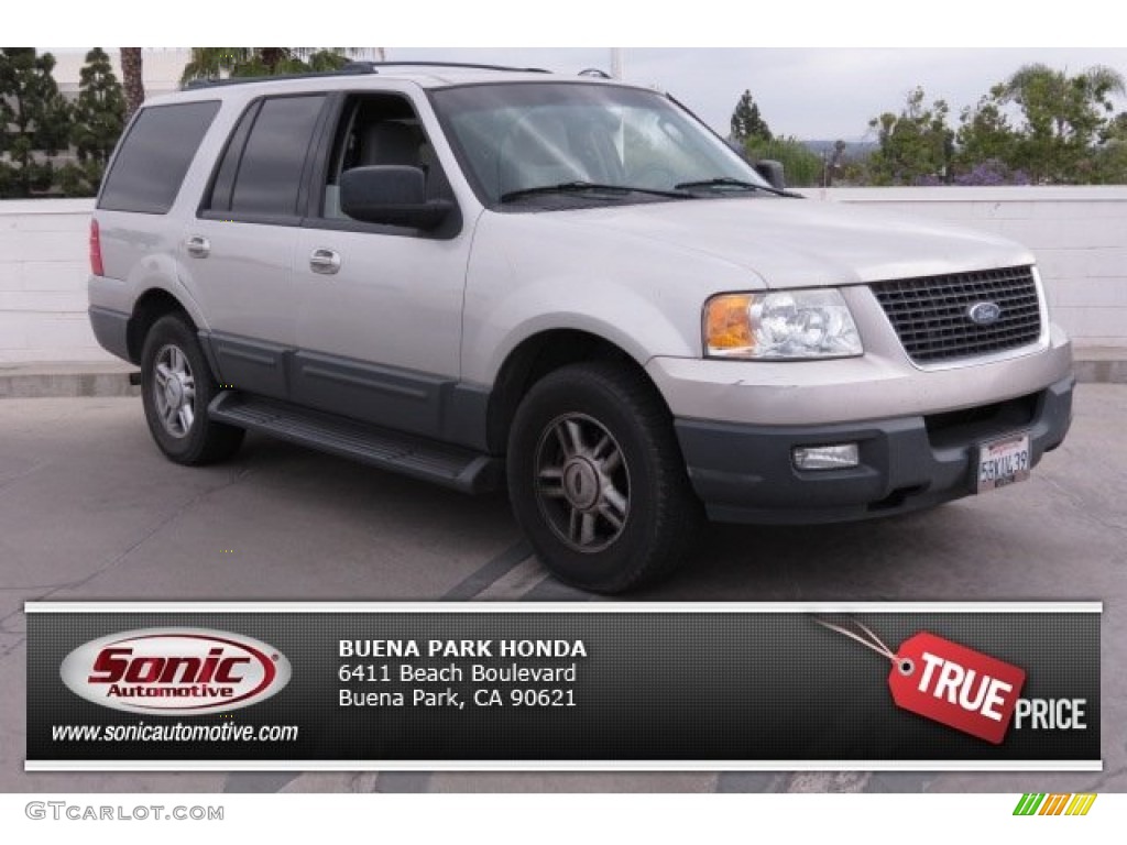 2003 Expedition XLT - Silver Birch Metallic / Flint Grey photo #8