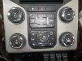 Ruby Red Metallic - F350 Super Duty Platinum Crew Cab 4x4 Photo No. 30