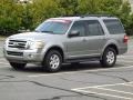 Vapor Silver Metallic 2009 Ford Expedition XLT