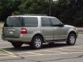Vapor Silver Metallic - Expedition XLT Photo No. 5