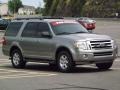 Vapor Silver Metallic - Expedition XLT Photo No. 7