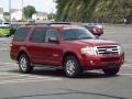 Redfire Metallic - Expedition XLT Photo No. 7
