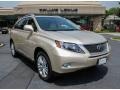 Satin Cashmere Metallic - RX 450h AWD Hybrid Photo No. 1