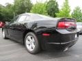Pitch Black - Charger SE Photo No. 2