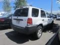 2007 Silver Metallic Ford Escape XLT V6  photo #1