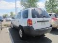 2007 Silver Metallic Ford Escape XLT V6  photo #2
