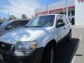 2007 Silver Metallic Ford Escape XLT V6  photo #3