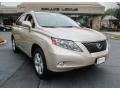 Satin Cashmere Metallic - RX 350 Photo No. 1