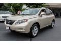 Satin Cashmere Metallic - RX 350 Photo No. 3