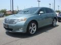 2010 Aloe Green Metallic Toyota Venza V6 AWD  photo #2