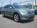 Aloe Green Metallic - Venza V6 AWD Photo No. 9