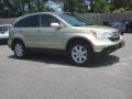 2008 Borrego Beige Metallic Honda CR-V EX-L 4WD  photo #6