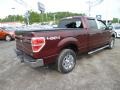 Royal Red Metallic - F150 XLT SuperCrew 4x4 Photo No. 7