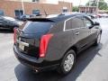 Black Raven - SRX V6 Photo No. 4