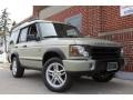 2004 Vienna Green Land Rover Discovery SE7  photo #2