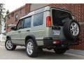 2004 Vienna Green Land Rover Discovery SE7  photo #4