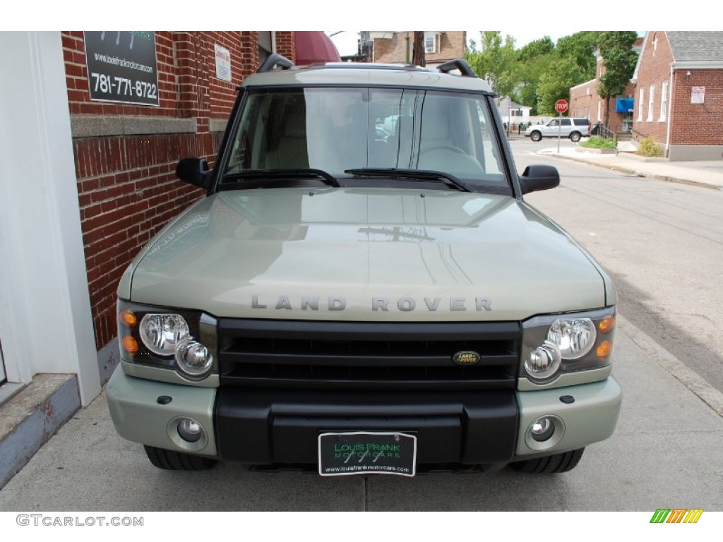 2004 Discovery SE7 - Vienna Green / Tundra Grey photo #8