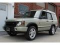 2004 Vienna Green Land Rover Discovery SE7  photo #10