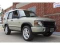 2004 Vienna Green Land Rover Discovery SE7  photo #11