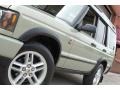 2004 Vienna Green Land Rover Discovery SE7  photo #14