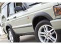 2004 Vienna Green Land Rover Discovery SE7  photo #15