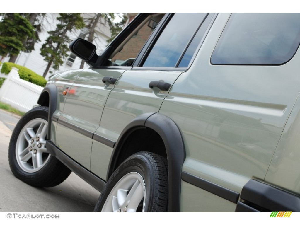 2004 Discovery SE7 - Vienna Green / Tundra Grey photo #16