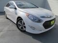 Porcelain White Pearl - Sonata Hybrid Photo No. 1