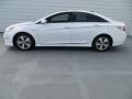 Porcelain White Pearl - Sonata Hybrid Photo No. 6