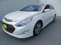 Porcelain White Pearl - Sonata Hybrid Photo No. 7