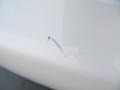 Porcelain White Pearl - Sonata Hybrid Photo No. 19
