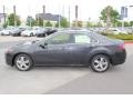 Graphite Luster Metallic - TSX Technology Photo No. 5