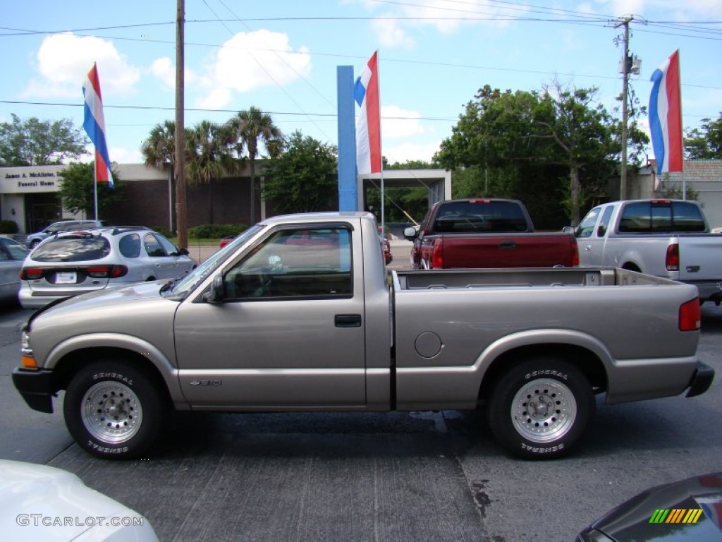 1998 S10 Regular Cab - Medium Beige Mystique Metallic / Beige photo #5